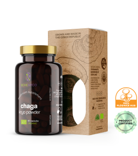 ČAGA BIO KRYO PRÁŠEK 60 KAPSLÍ 360 MG