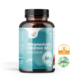 Magnesium + Vitamin B6 Relax Vitamínovo-houbový komplex 90 kps 500 mg