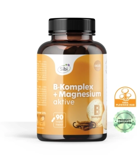 B-Komplex + Magnesium-Aktive Vitamínovo-houbový komplex 90 kps 500 mg